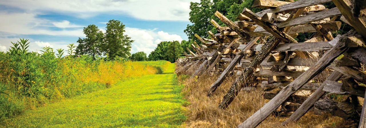 Wilson's Creek battlefield with fences in the foreground. 