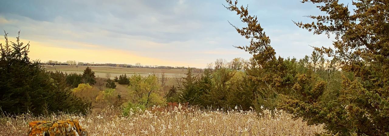 Wood Lake Battlefield