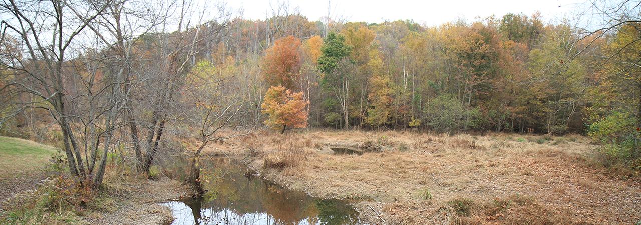 Photograph of Beaver Dam Creek in the autumn