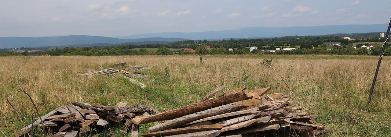 This is a landscape photo of the Cedar Creek battlefield. 