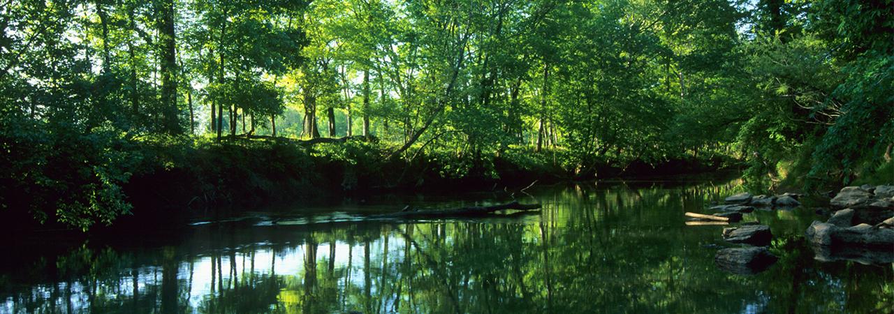 The water at Chickamauga Creek