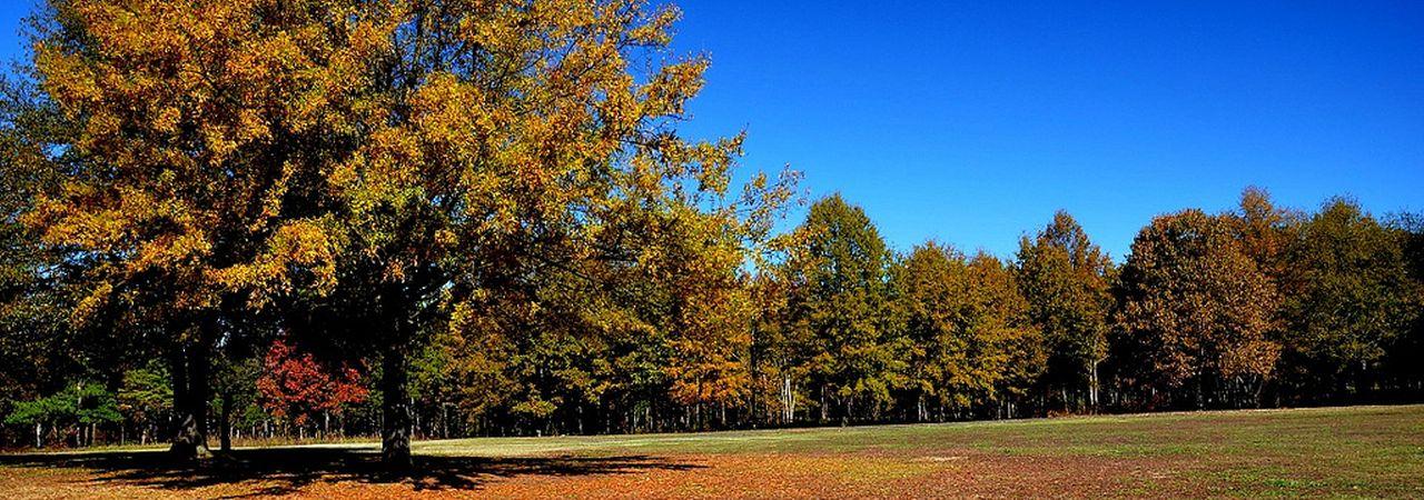 Cowpens Battlefield