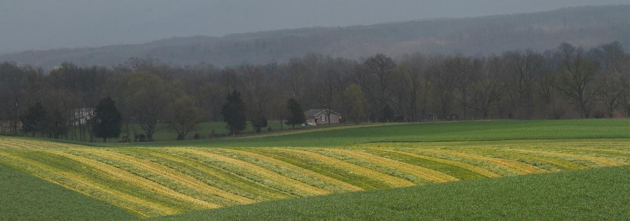 This is a landscape image of the Cross Keys battlefield on a cloudy, misty day. 