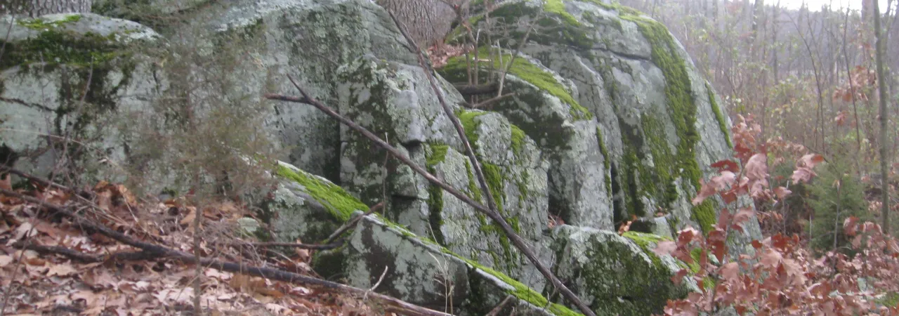 Manning Ledge