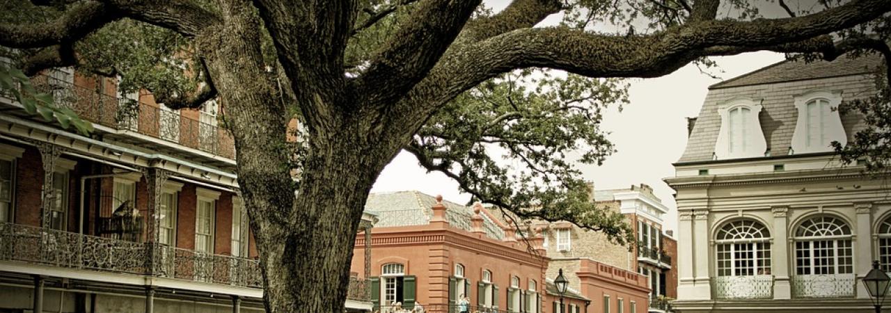 A photograph of New Orleans