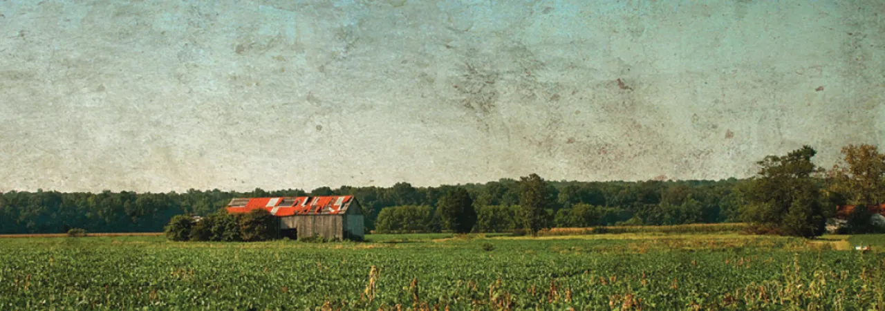 Image of the Slaughter Pen Farm