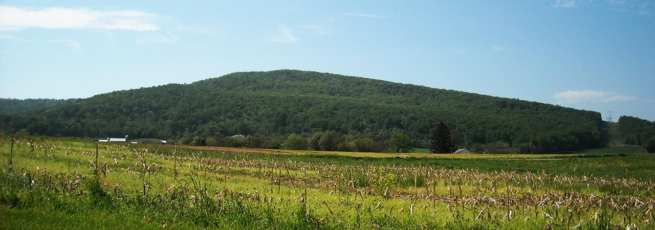 Photograph of the South Mountain Battlefield during the daytime