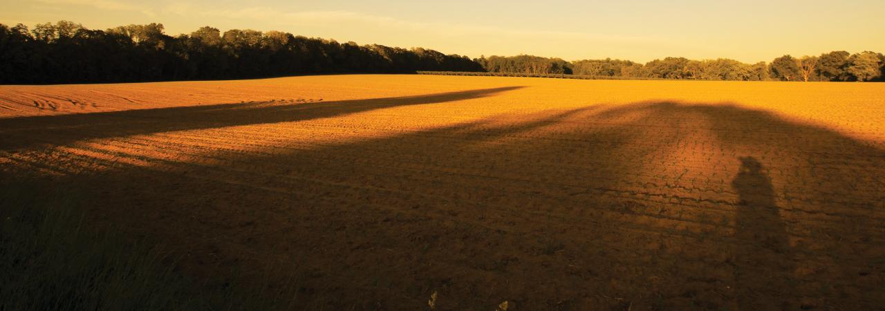 This is a photograph of the Monmouth battlefield during a golden sunset.
