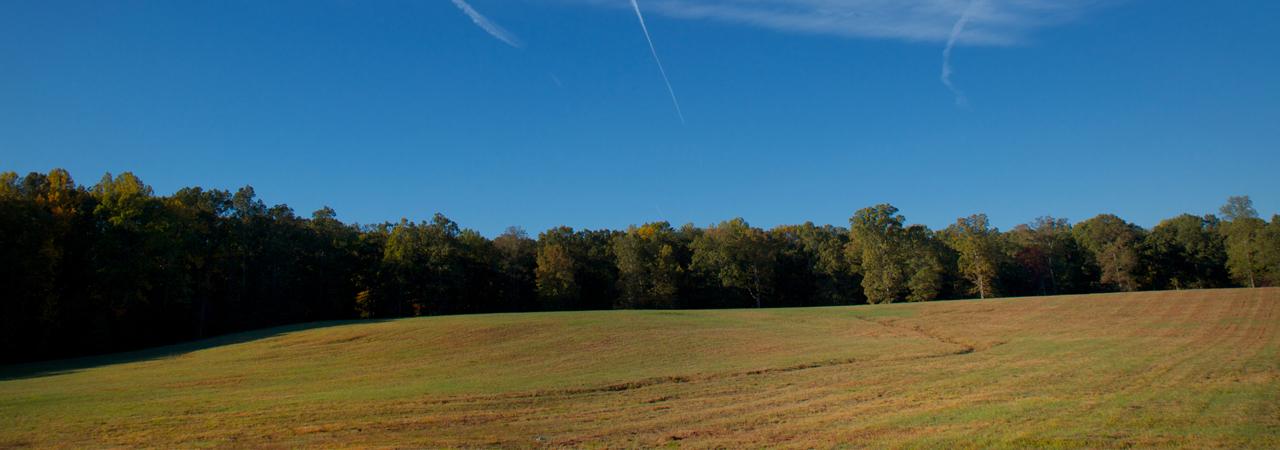 wilderness playground tours