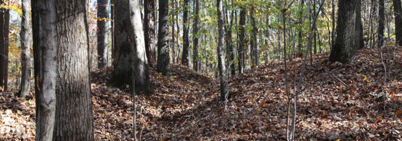 Confederate Rifle Pits (700x)