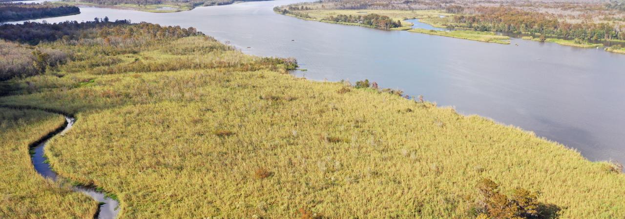 Ariel view of Blakeley Bluffs property