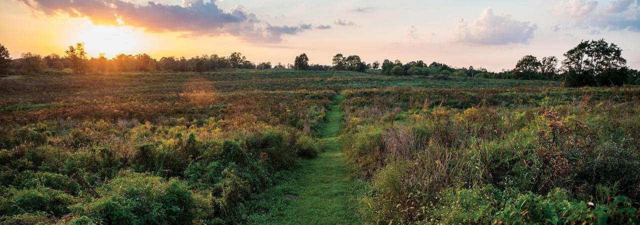 Perryville Battlefield