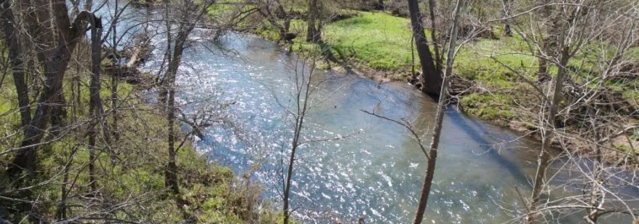 Wilson's Creek