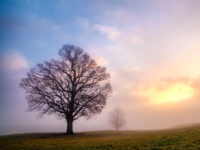 Fredericksburg Battlefield, Va