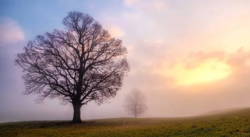 Fredericksburg Battlefield