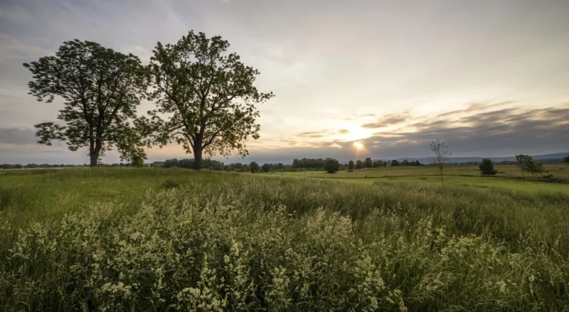 Antietam National Battlefield, Sharpsburg, Md.