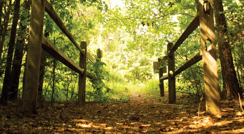 White Oak Road Battlefield, Dinwiddie County, Va.