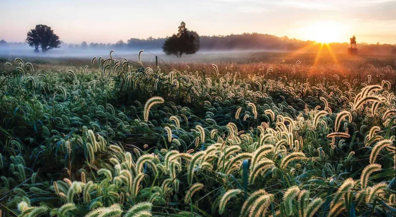 Manassas National Battlefield Park, Va.