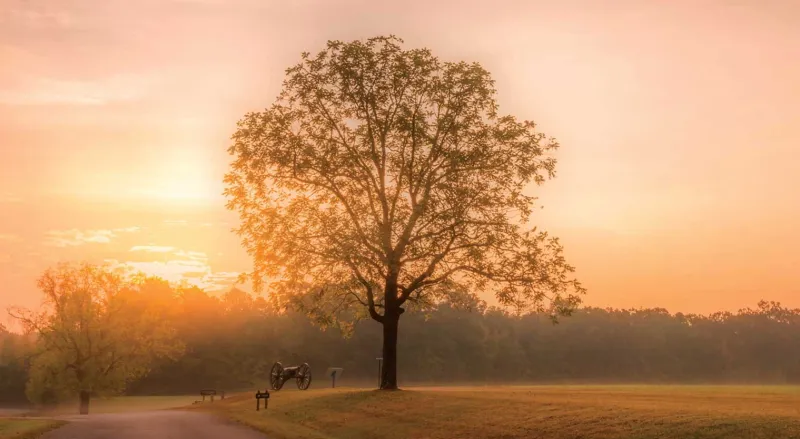 Shiloh National Military Park, Tenn.