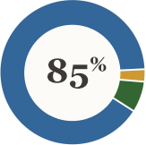 85% pie graph 