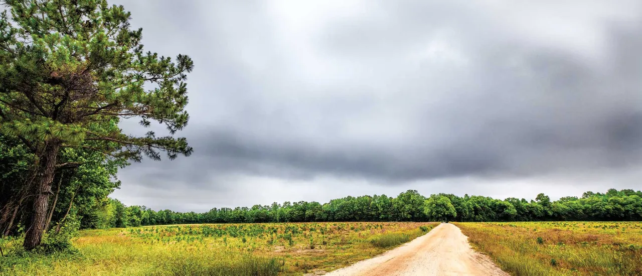 Bentonville Battlefield, Johnston County, N.C.