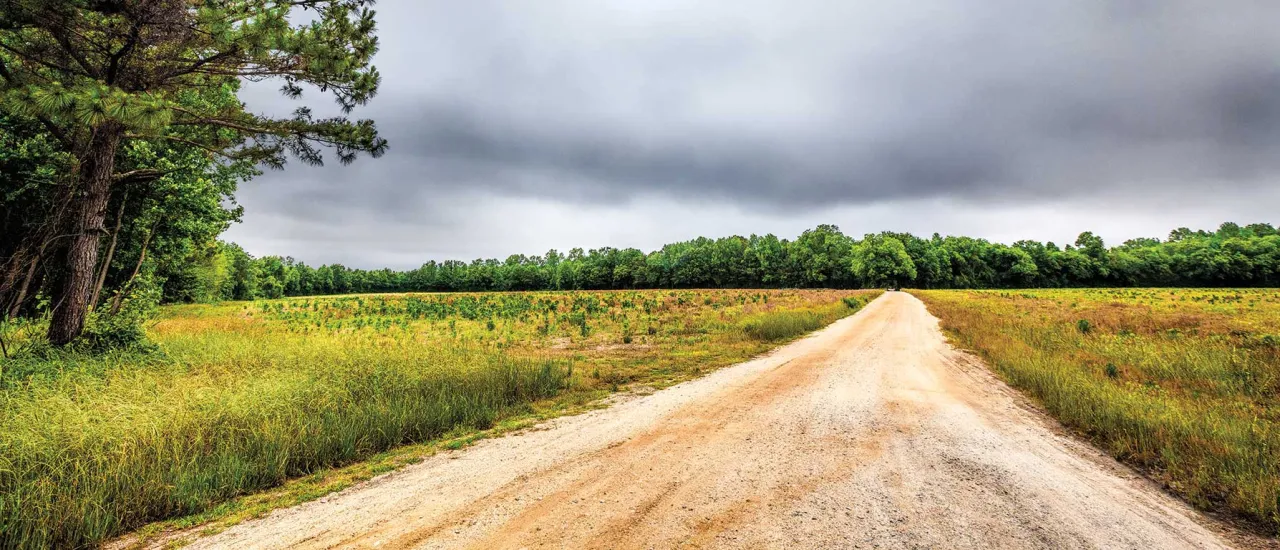 Bentonville Battlefield, Johnston County, N.C.
