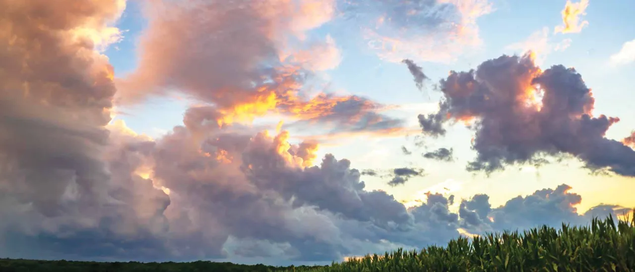 Slaughter Pen Farm Battlefield, Fredericksburg, Va.