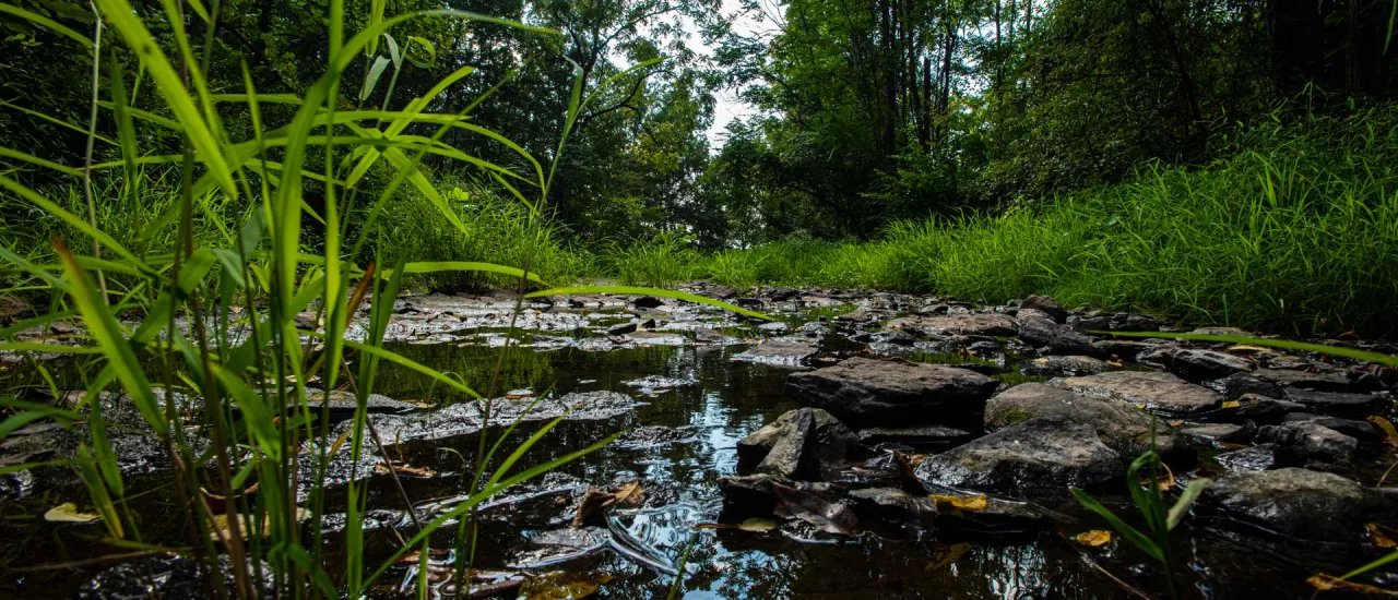 Willoughby's Run, Gettysburg, Pa.