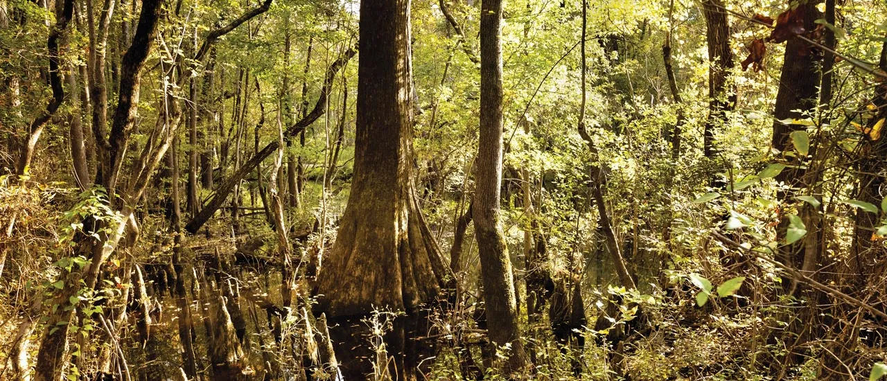 Moores Creek National Battlefield, Currie, N.C.