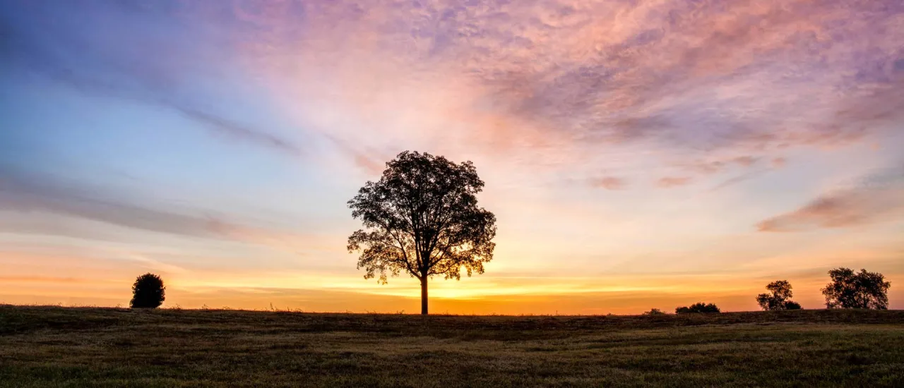 A lone tree stands against a vivid dawn sky on Fleetwood Hill at Brandy Station Battlefield.