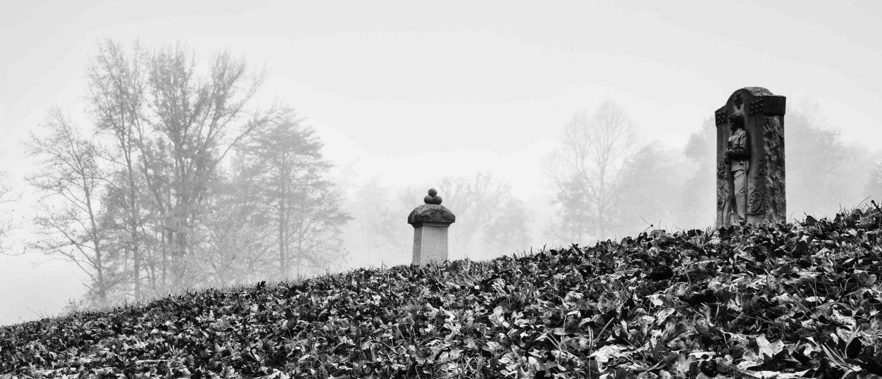 “Bloody Angle, Spotsylvania Courthouse Civil War Battlefield” | Spotsylvania County, Va.