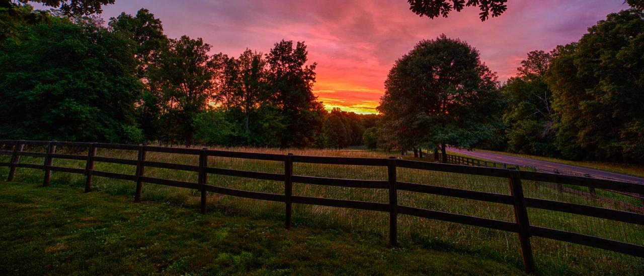 The Wilderness, Spotsylvania and Orange Counties, Va.