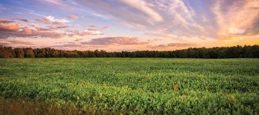 Gaines’ Mill Cold Harbor Saved Forever
