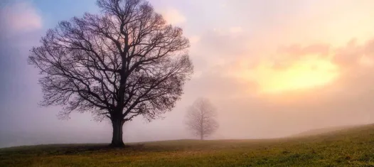 Fredericksburg Battlefield
