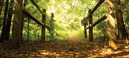 White Oak Road Battlefield, Dinwiddie County, Va.