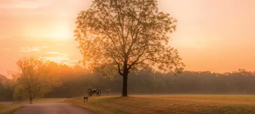 Shiloh National Military Park, Tenn.