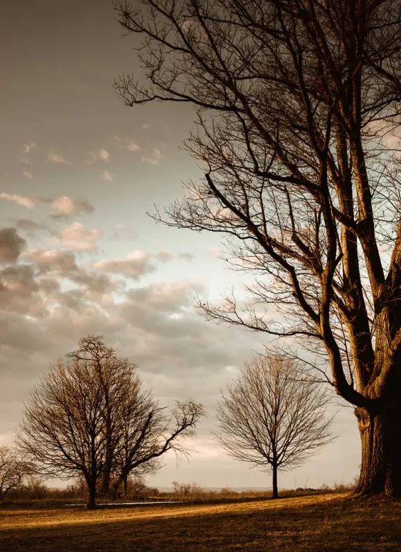 Antietam National Battlefield, Sharpsburg, Md.