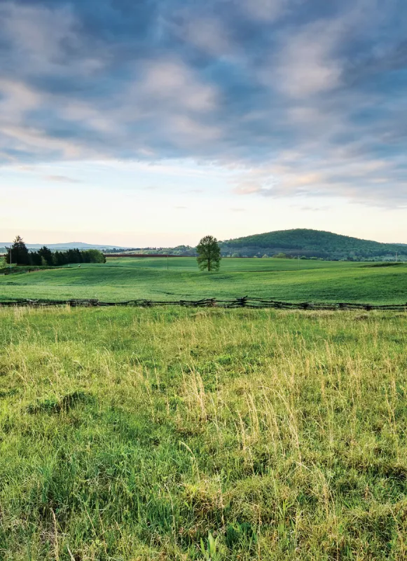 Cedar Mountain Battlefield, Culpeper County, Va.