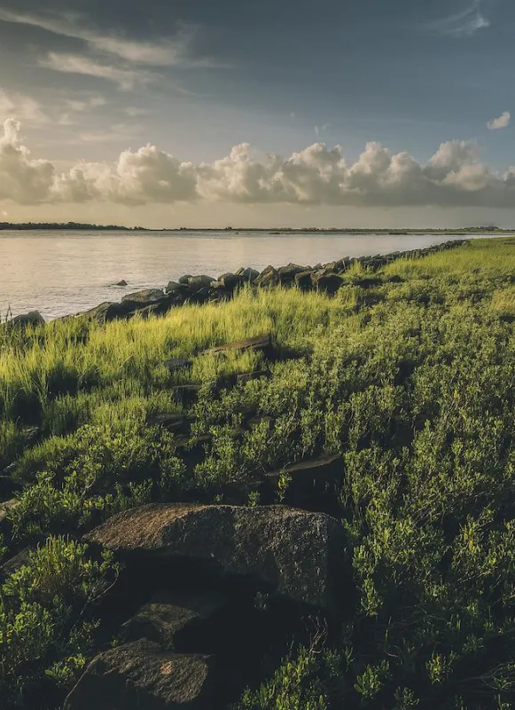 Fort Johnson, Charleston, S.C.