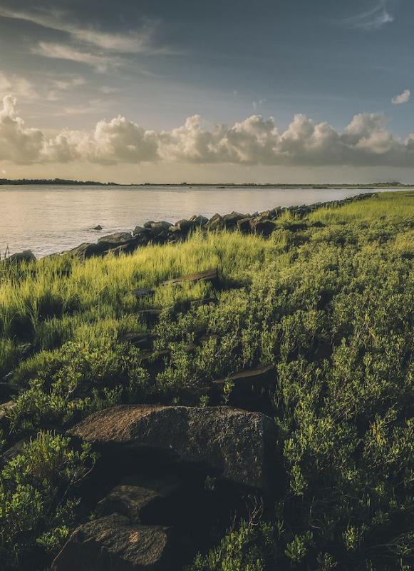 Fort Johnson, Charleston, S.C. | MATT BRANT