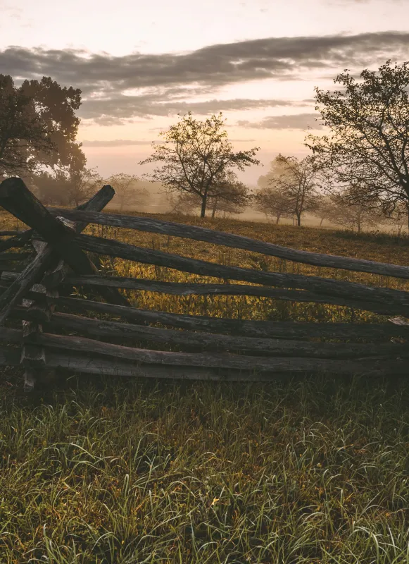 View from behind a snake rail fence with trees, mist and clouds