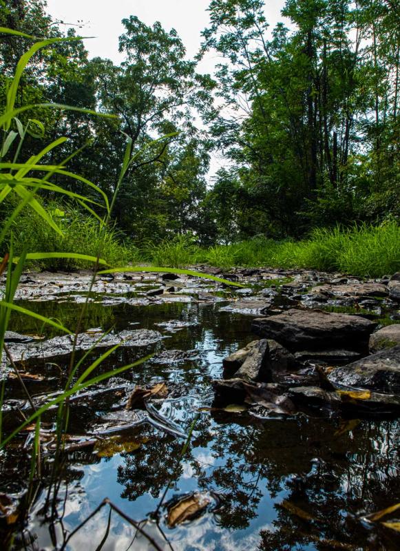 A photograph of Willoughby Run, Gettysburg National Military Park, Pa.