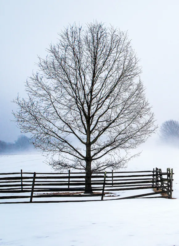 Princeton Battlefield
