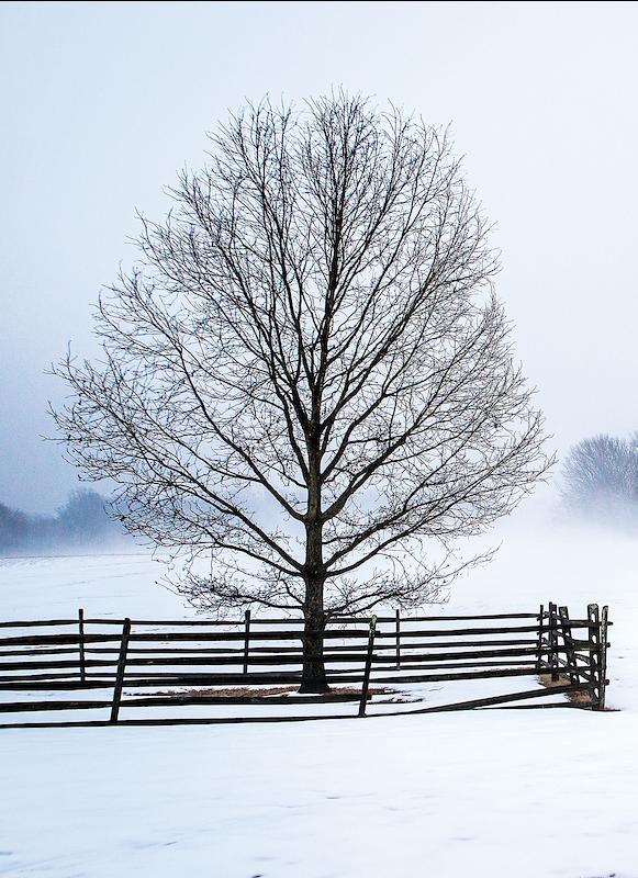 Princeton Battlefield