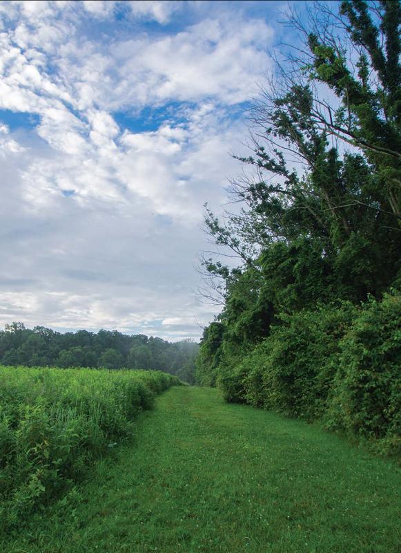 Princeton Battlefield State Park, Princeton, N.J.