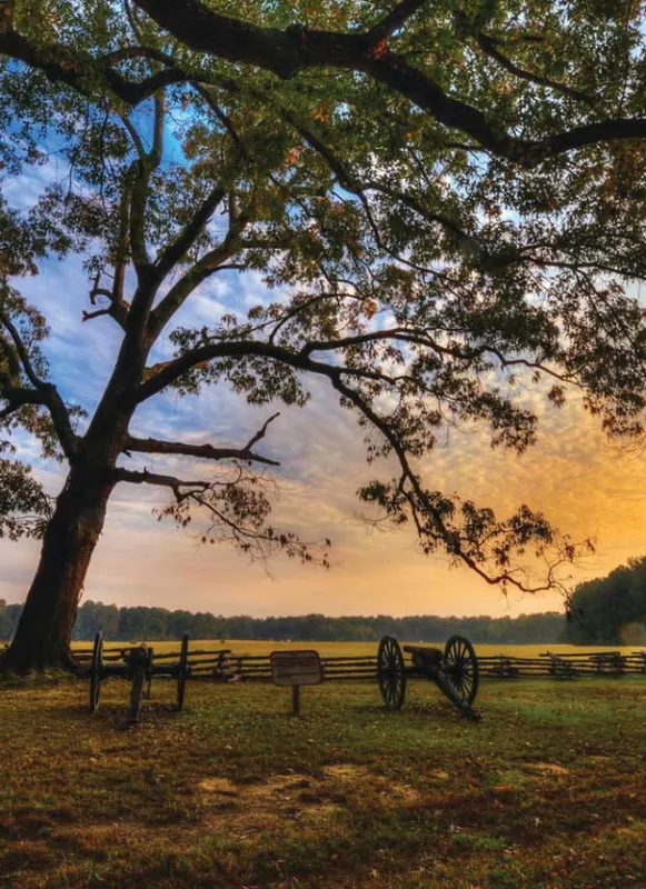 Harper's Mississippi Battery, Shiloh, Tenn.