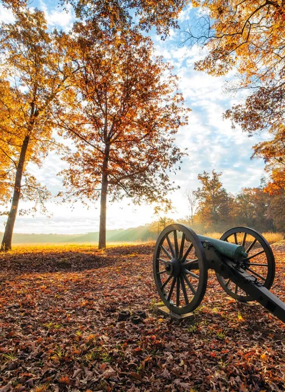 The Wilderness, Spotsylvania and Orange Counties, Va.
