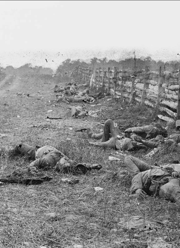 Confederate Dead Along the Hagerstown Turnpike