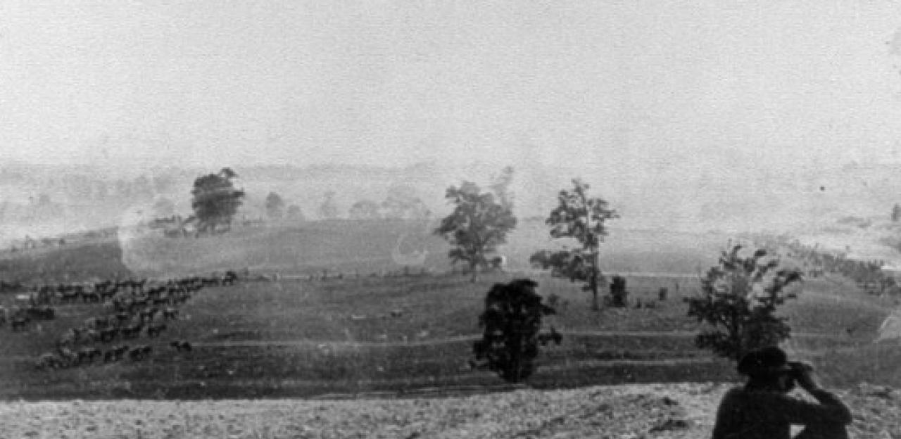 This is a photograph of the Antietam battlefield prior to the beginning of this conflict. 