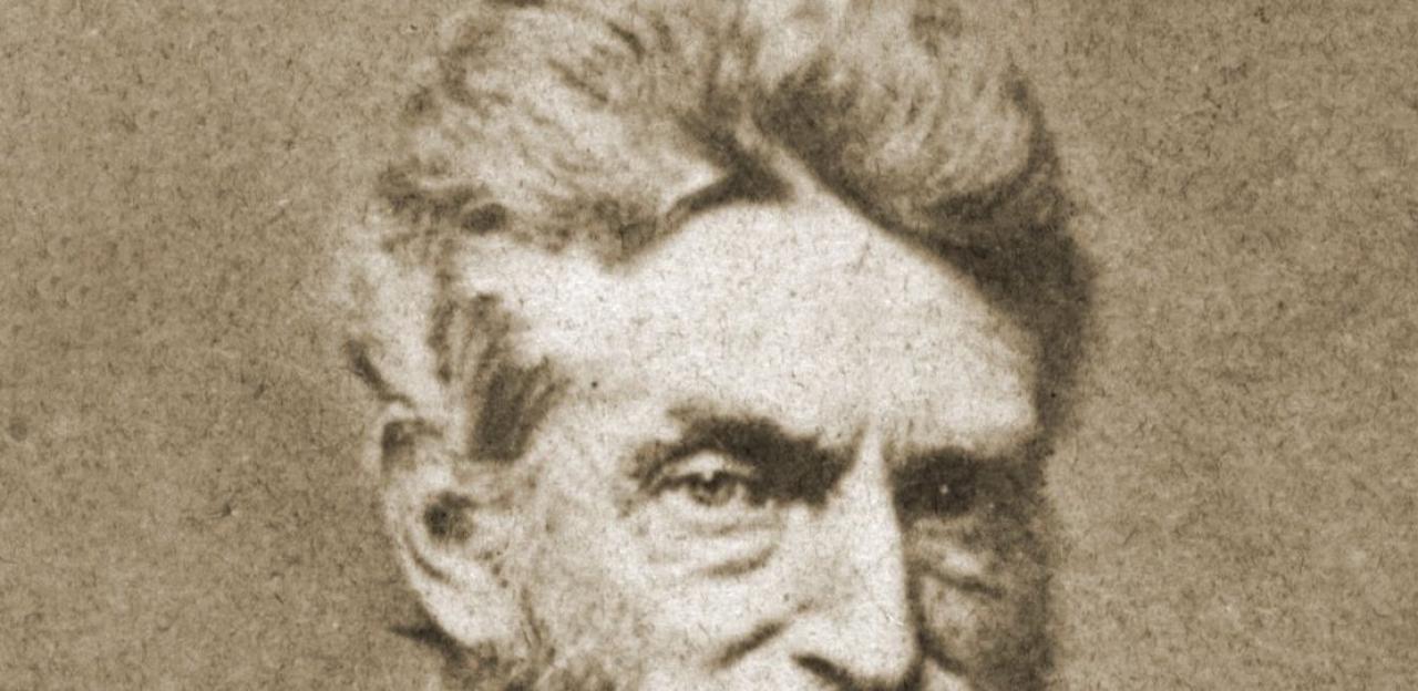 This photograph depicts an up-close portrait of John Brown.